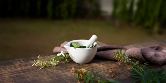 Understanding Ayurveda and the Role of Oils in Wellness